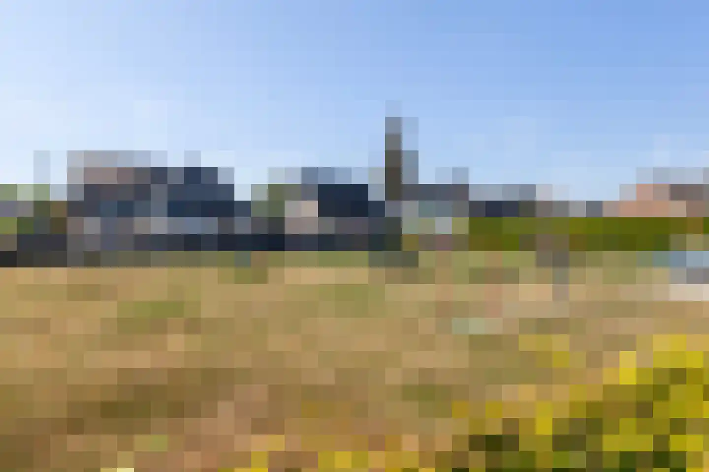 Flaaks-ikker 18 Westergeast thumbnail 48