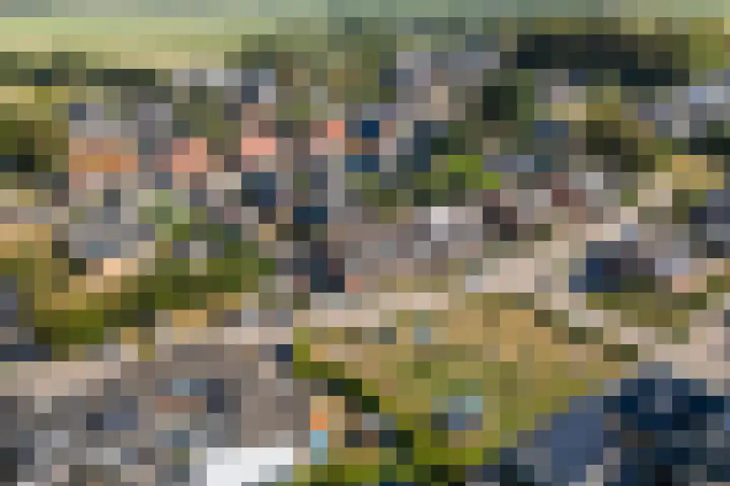 Flaaks-ikker 18 Westergeast thumbnail 5