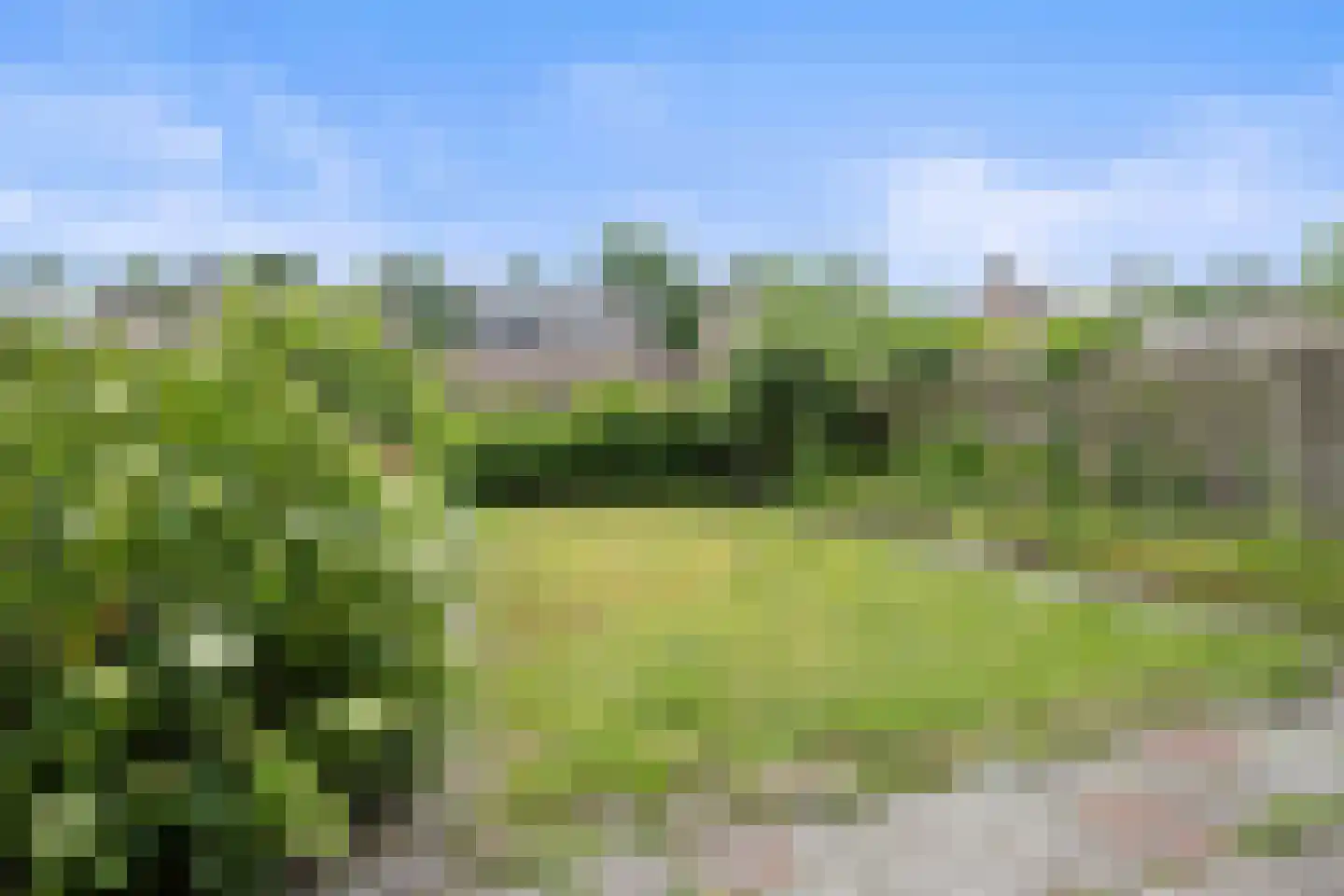 Flaas 9 Kaatsheuvel thumbnail 4