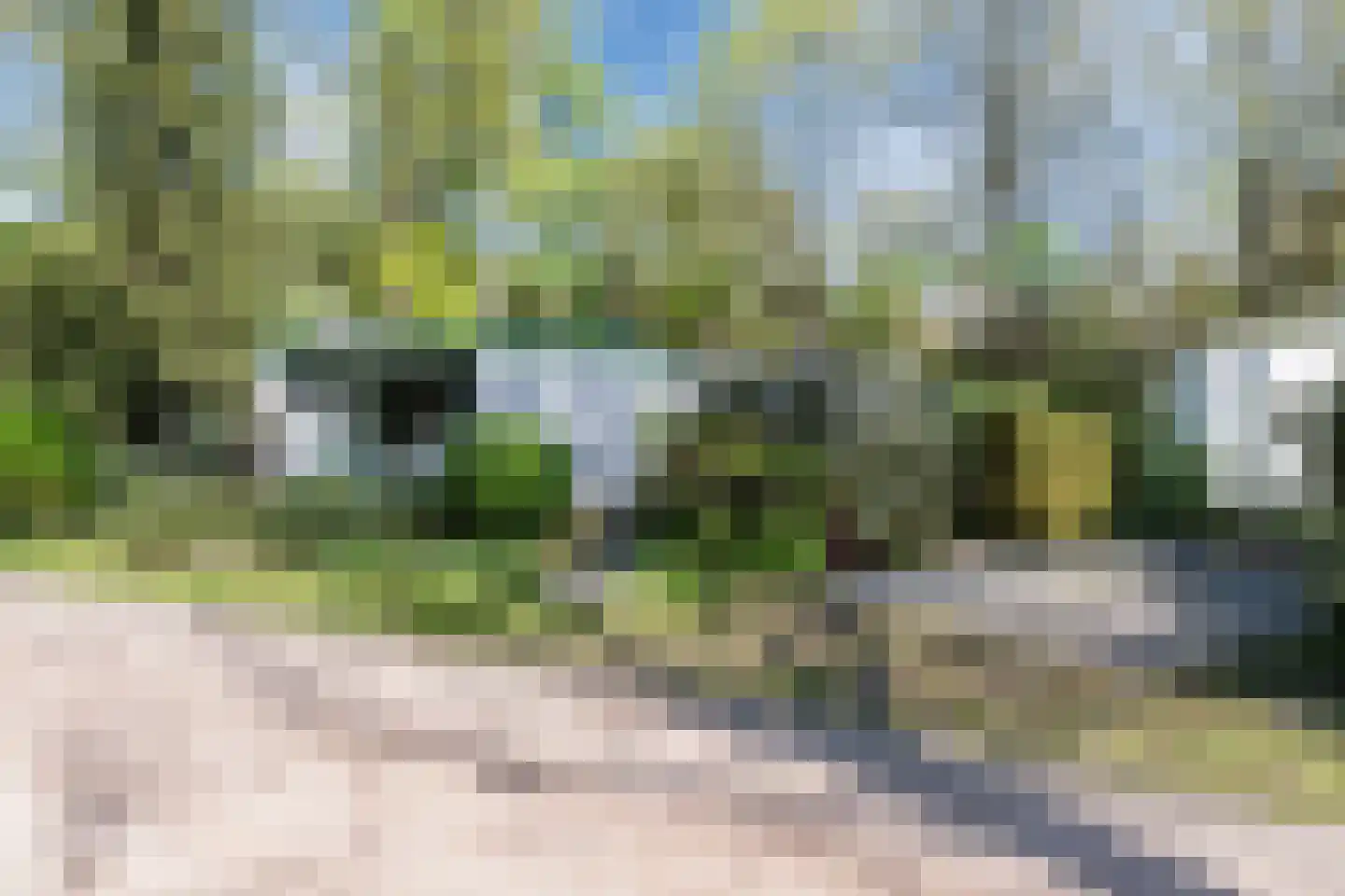 Flaasdijk 1 1189 Chaam