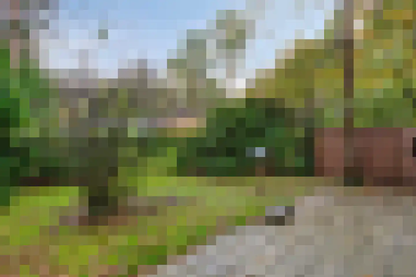 Flaasdijk 1 1189 Chaam thumbnail 8