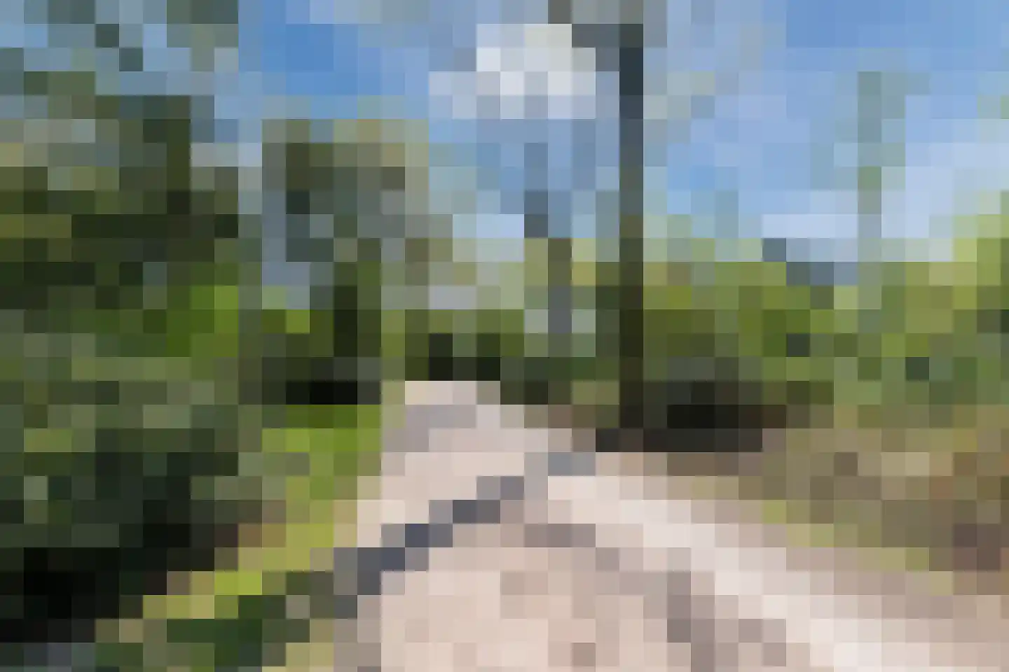 Flaasdijk 1 698 Chaam thumbnail 30