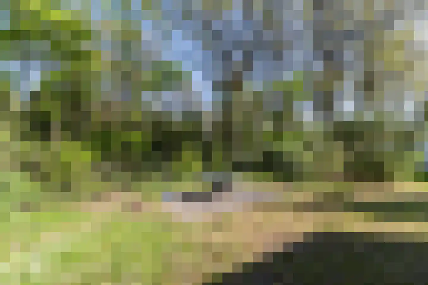 Flaasdijk 1 698 Chaam thumbnail 31