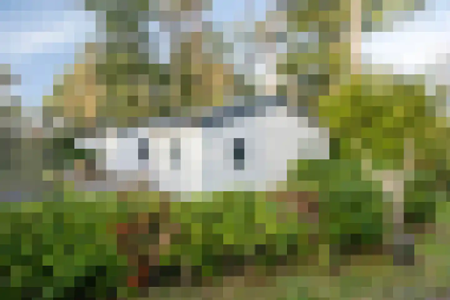 Flaasdijk 1 903 Chaam thumbnail 4