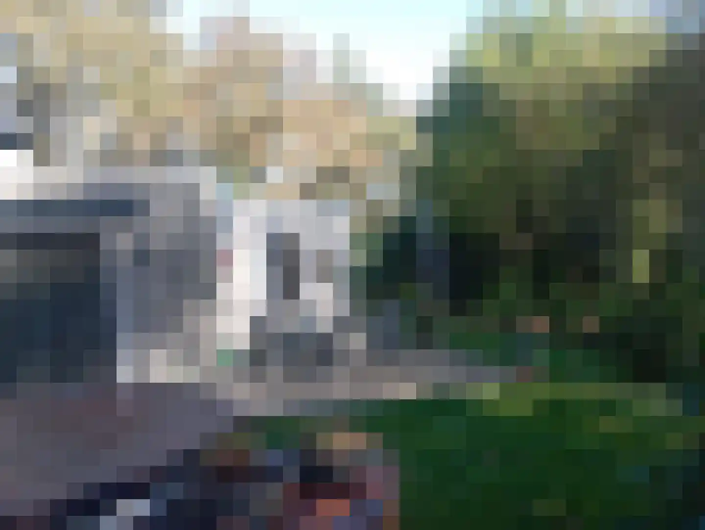 Flaasdijk 1 Chaam thumbnail 10