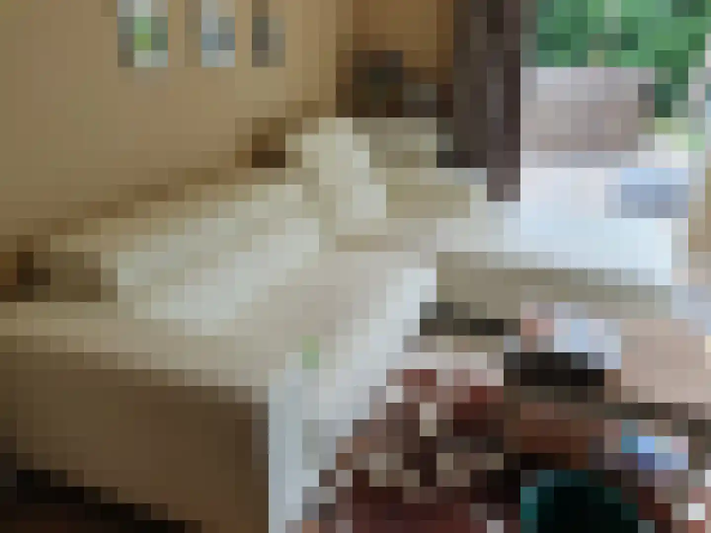 Flaasdijk 1 Chaam thumbnail 15