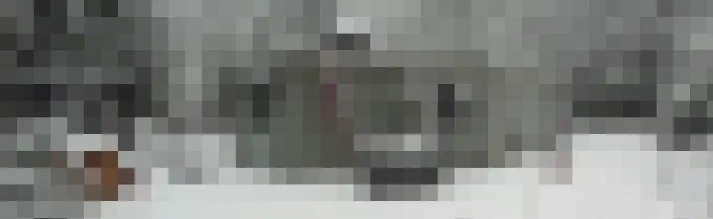 Flaasdijk 1 Chaam thumbnail 29