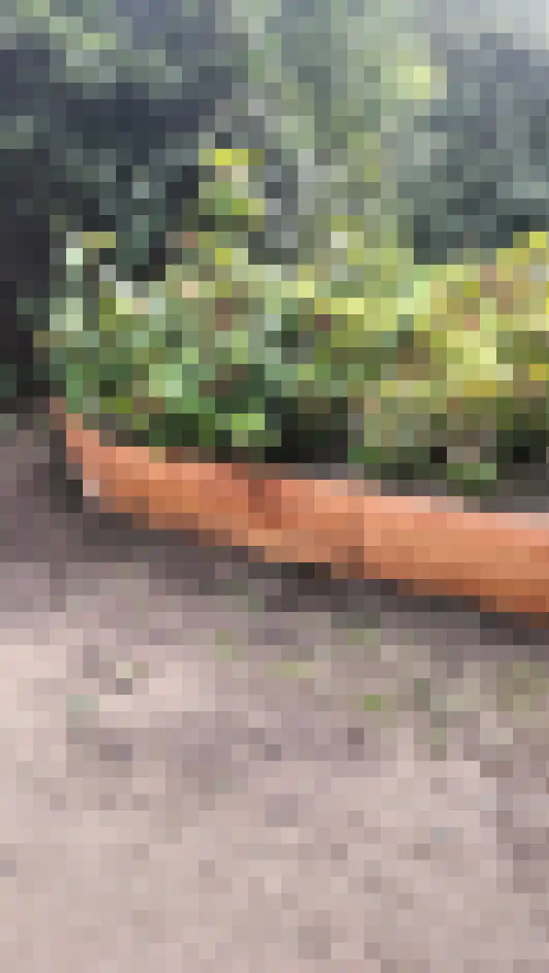 Flaasdijk 1 Chaam thumbnail 30