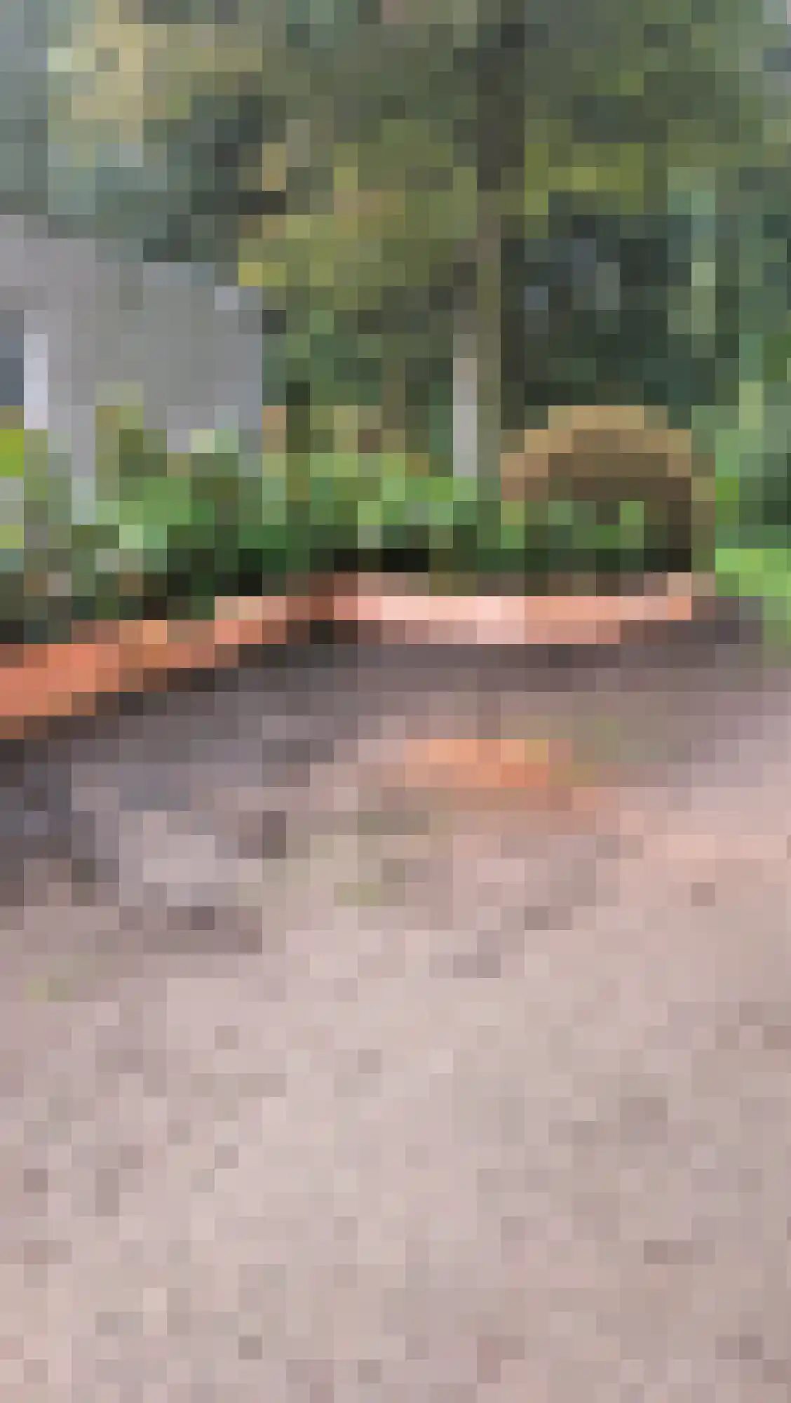Flaasdijk 1 Chaam thumbnail 31