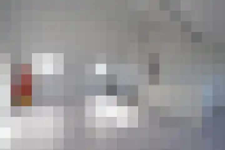 Fladderiepvliet 9 Utrecht thumbnail 41