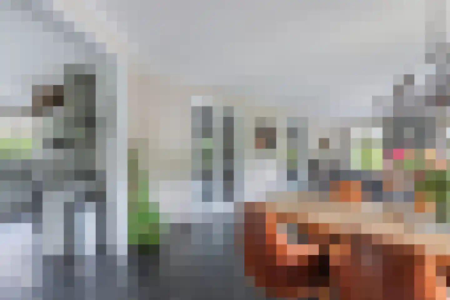 Flaeijel 3 Nieuwehorne thumbnail 12