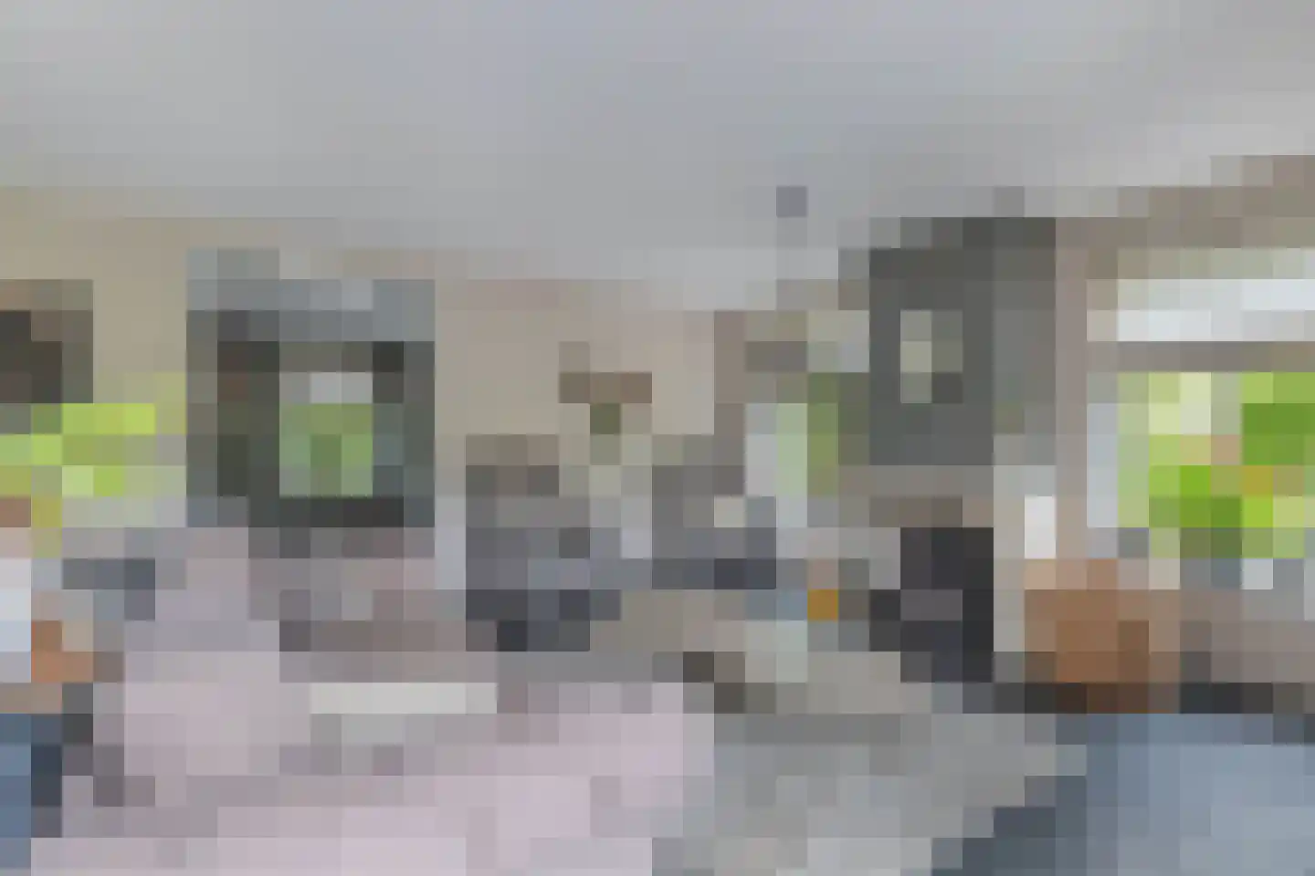 Flaeijel 3 Nieuwehorne thumbnail 15