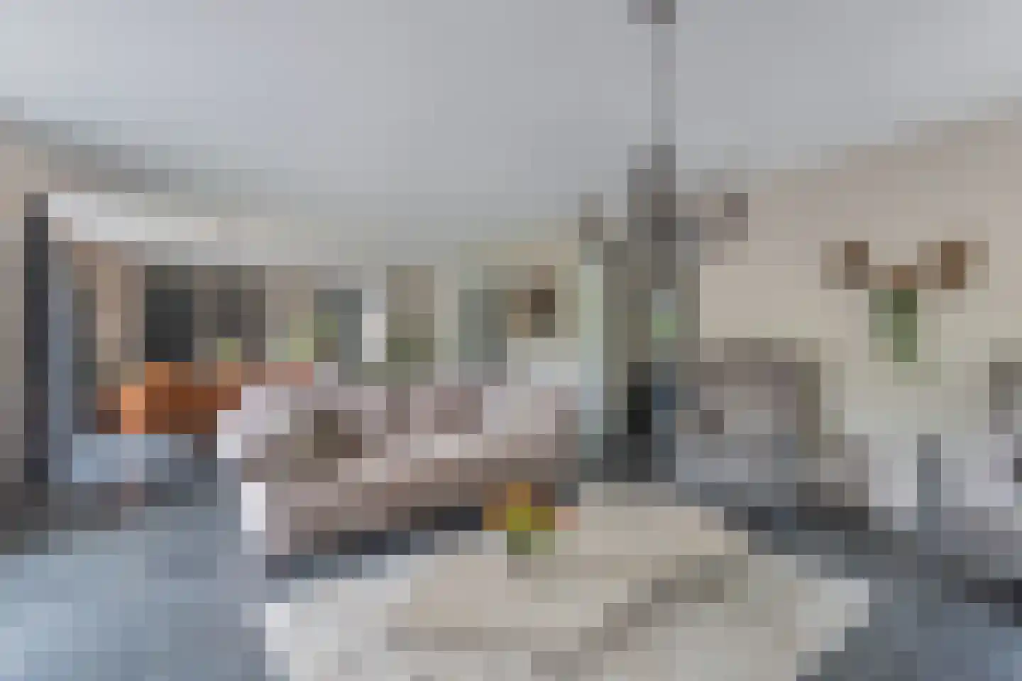 Flaeijel 3 Nieuwehorne thumbnail 16