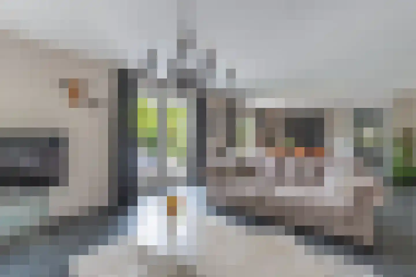 Flaeijel 3 Nieuwehorne thumbnail 17