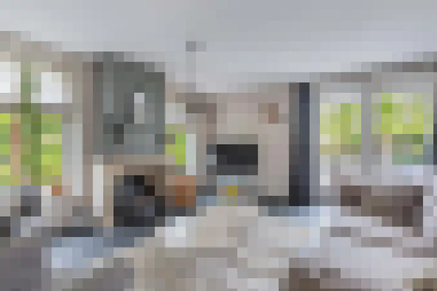 Flaeijel 3 Nieuwehorne thumbnail 18
