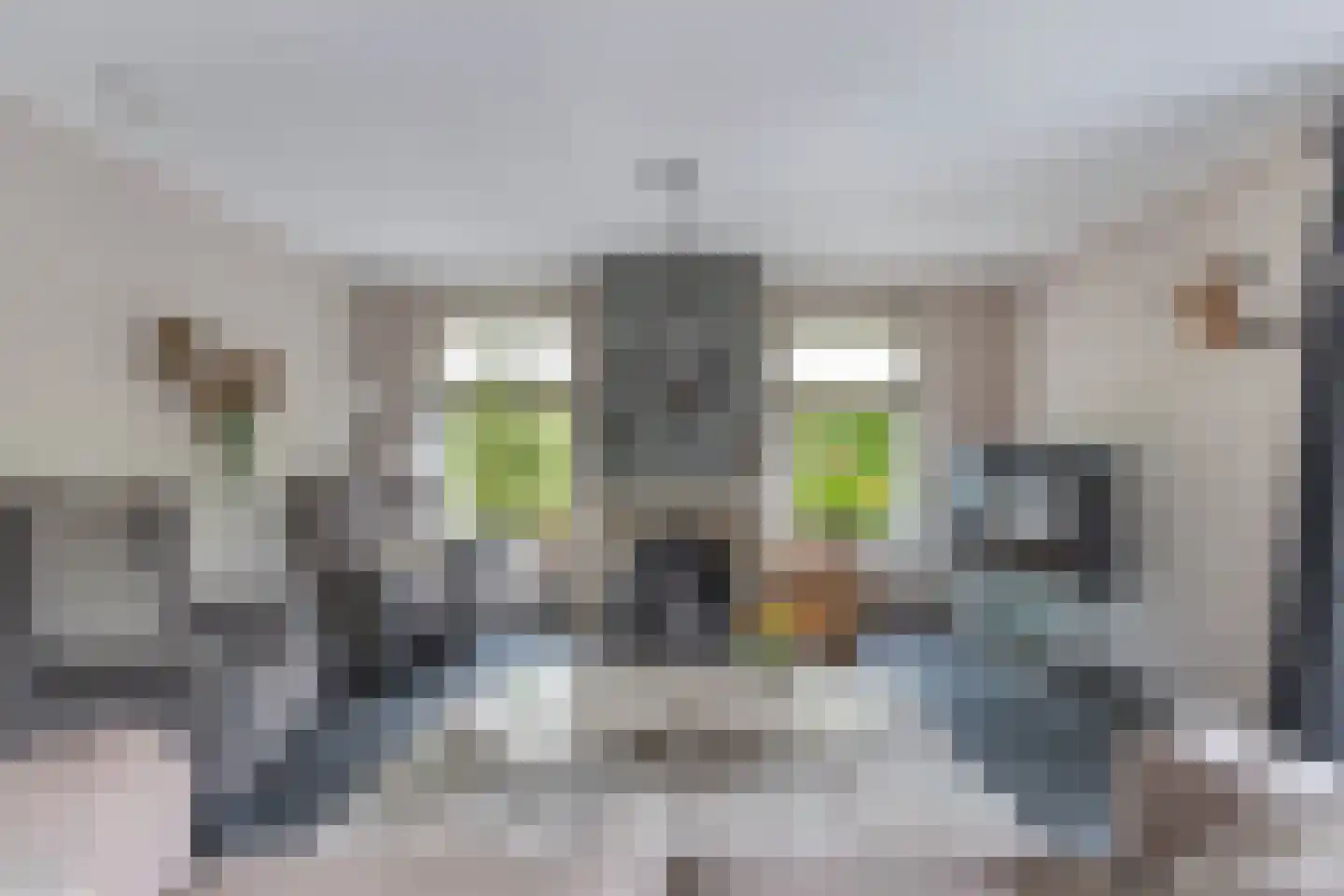 Flaeijel 3 Nieuwehorne thumbnail 19