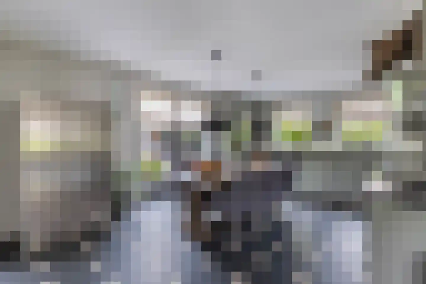 Flaeijel 3 Nieuwehorne thumbnail 23