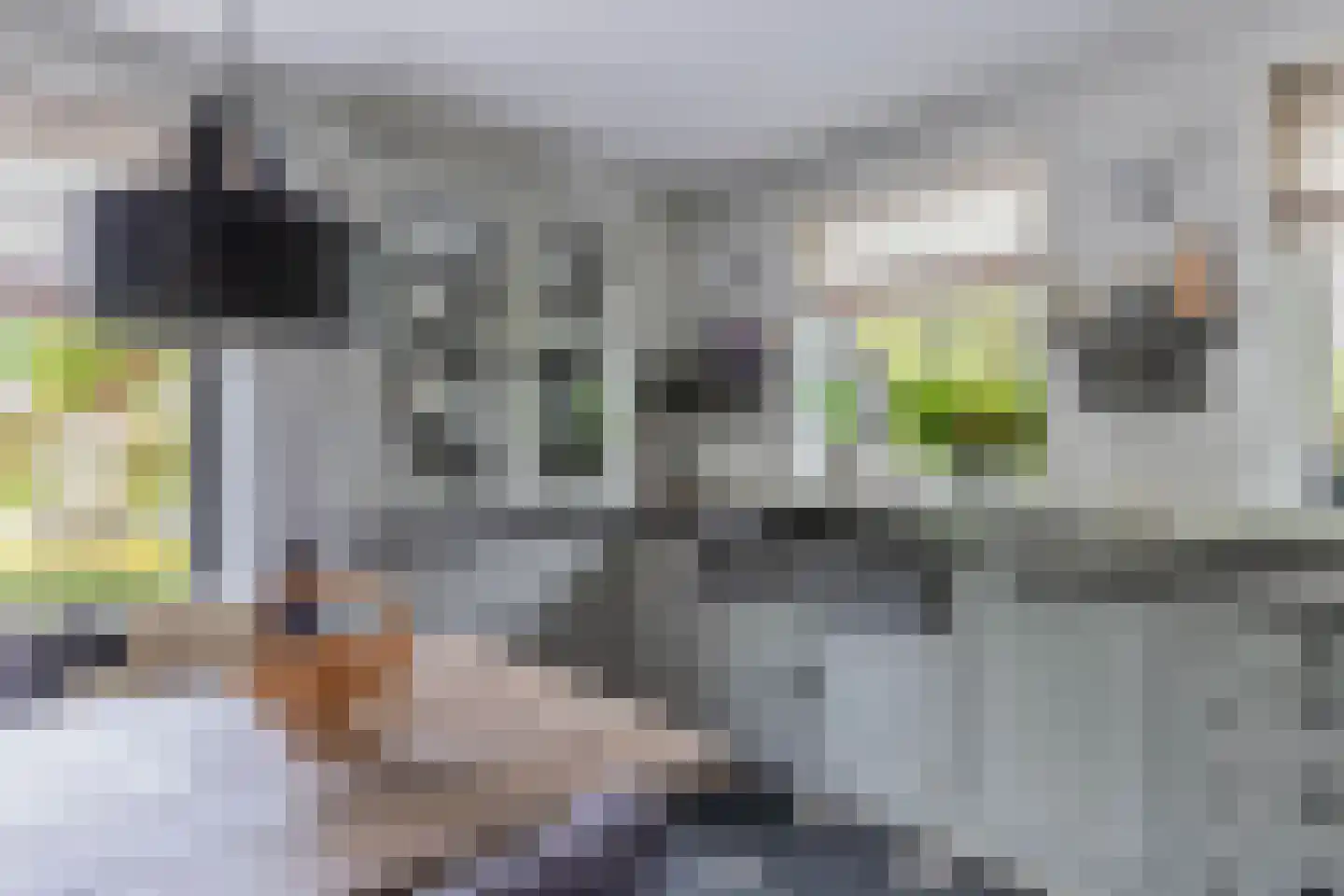 Flaeijel 3 Nieuwehorne thumbnail 24