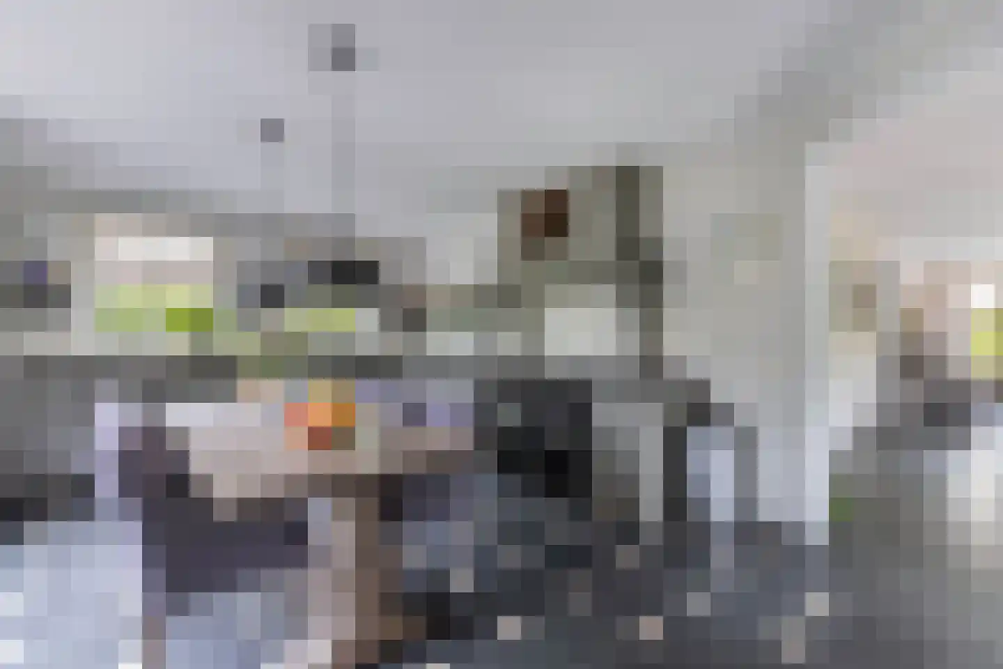 Flaeijel 3 Nieuwehorne thumbnail 27