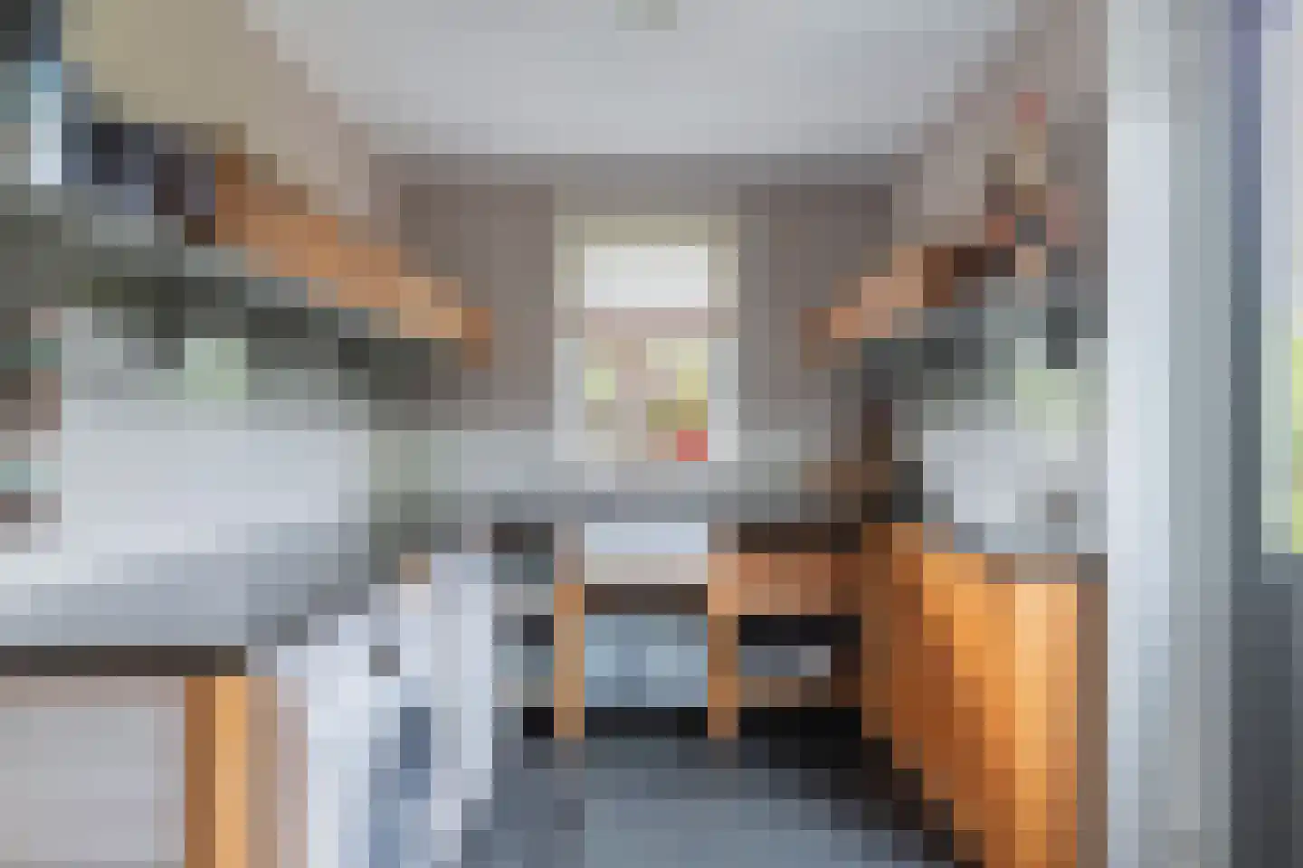 Flaeijel 3 Nieuwehorne thumbnail 28