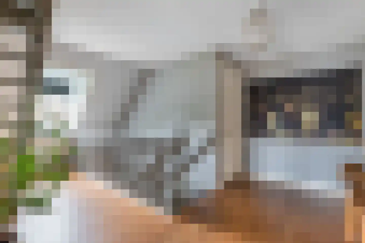 Flaeijel 3 Nieuwehorne thumbnail 29