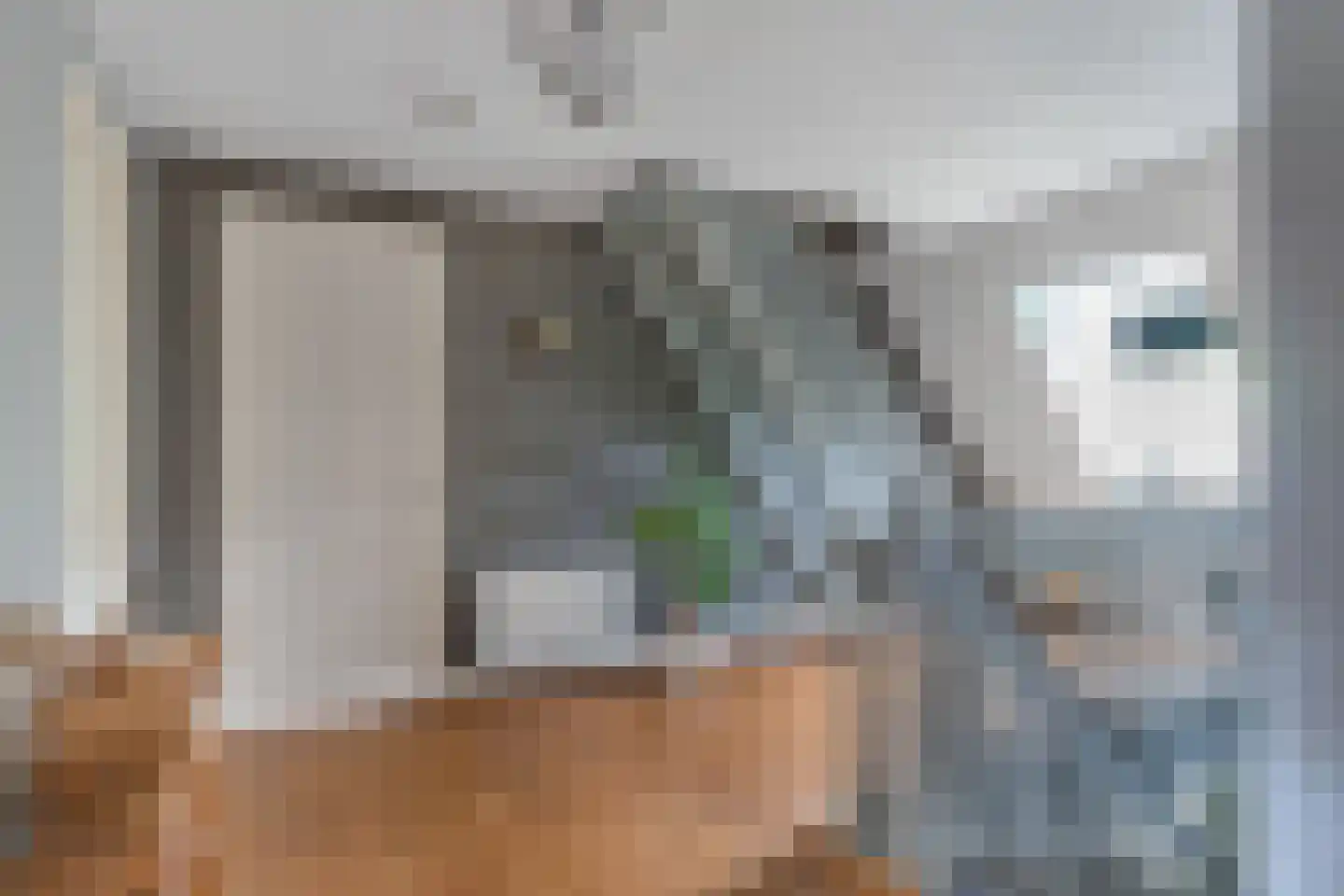 Flaeijel 3 Nieuwehorne thumbnail 30