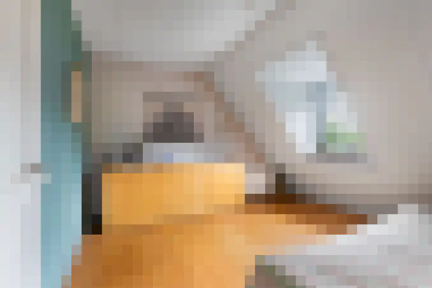 Flaeijel 3 Nieuwehorne thumbnail 36