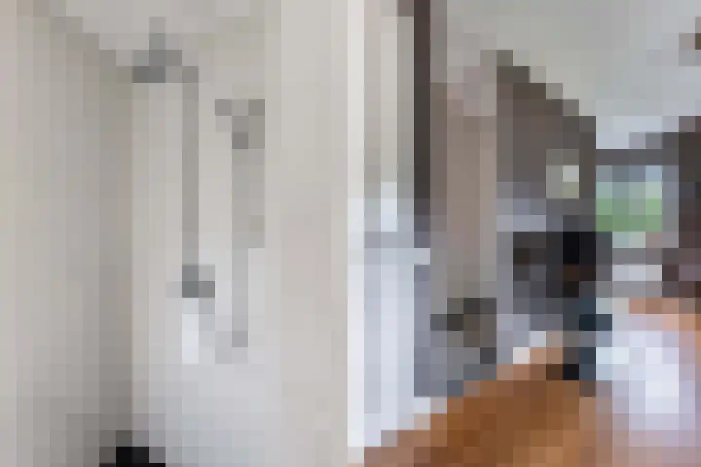 Flaeijel 3 Nieuwehorne thumbnail 37