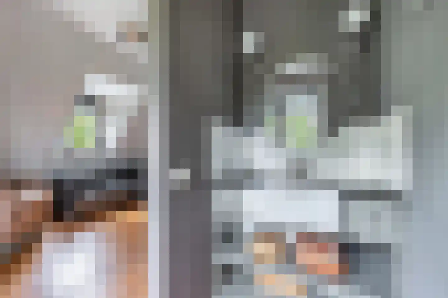 Flaeijel 3 Nieuwehorne thumbnail 39