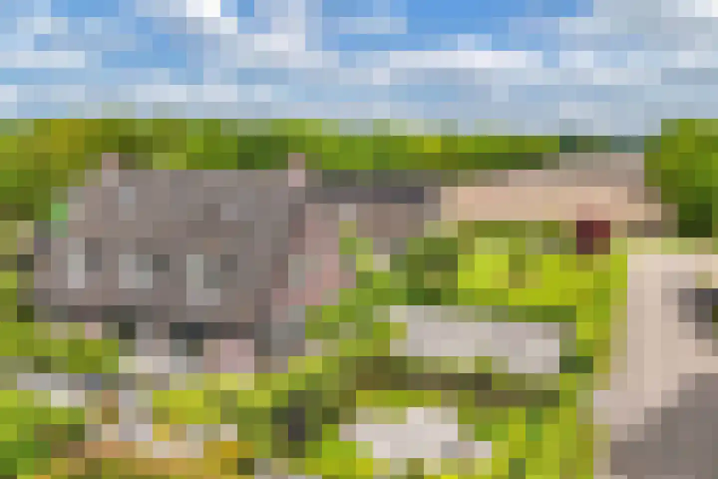 Flaeijel 3 Nieuwehorne thumbnail 4