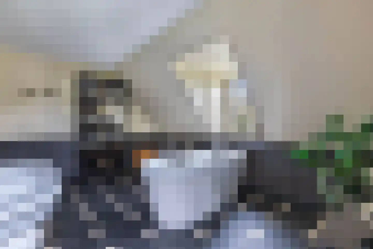Flaeijel 3 Nieuwehorne thumbnail 40