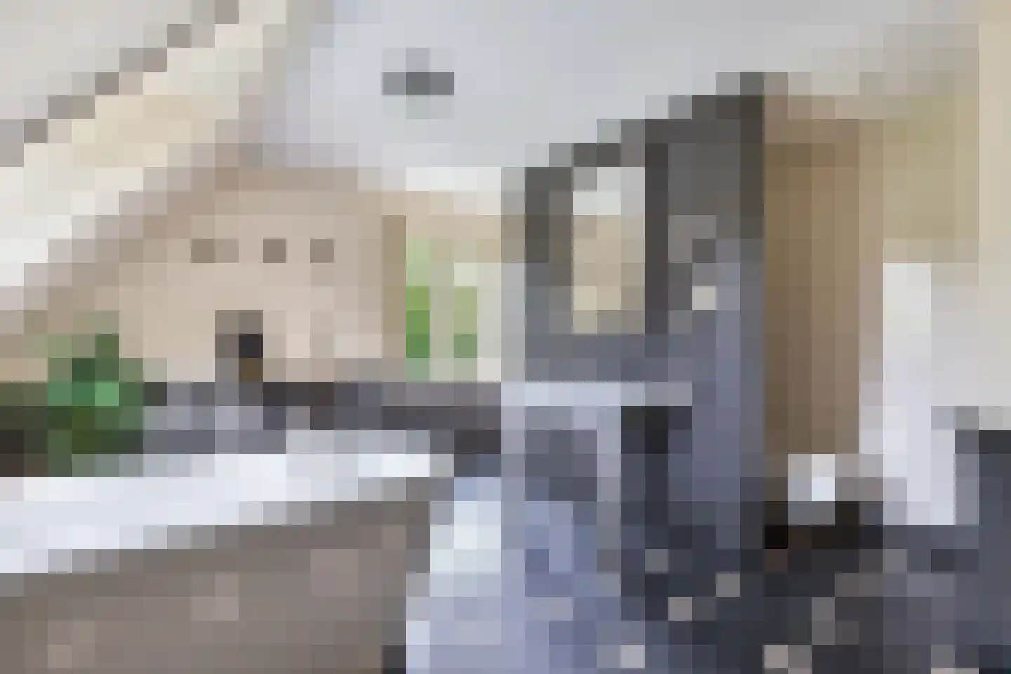 Flaeijel 3 Nieuwehorne thumbnail 42