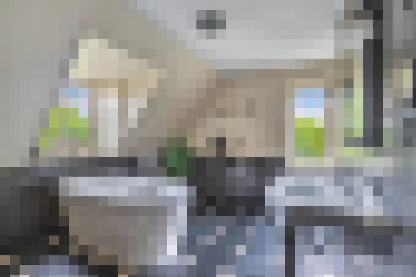 Flaeijel 3 Nieuwehorne thumbnail 43