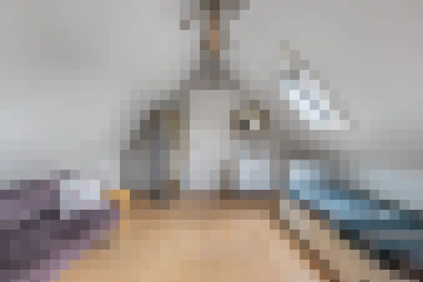 Flaeijel 3 Nieuwehorne thumbnail 47