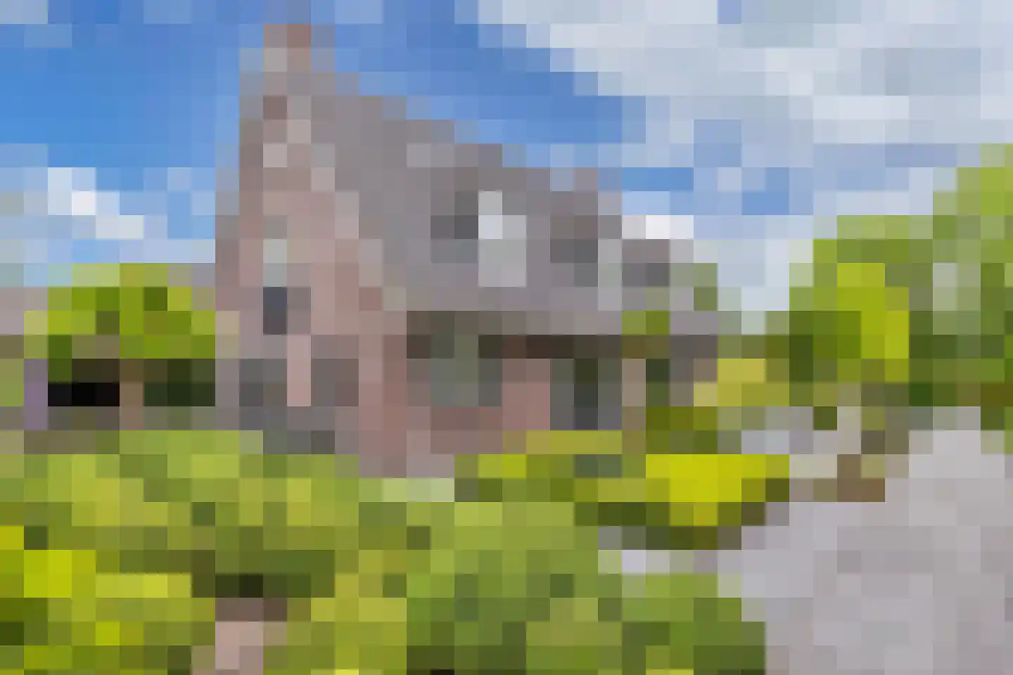 Flaeijel 3 Nieuwehorne thumbnail 5