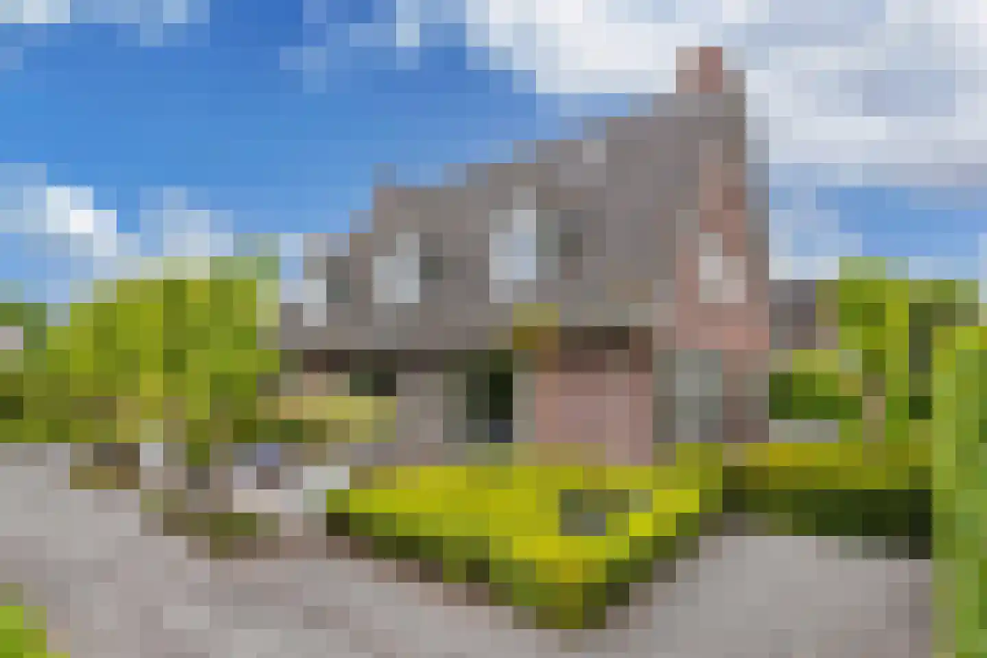 Flaeijel 3 Nieuwehorne thumbnail 50