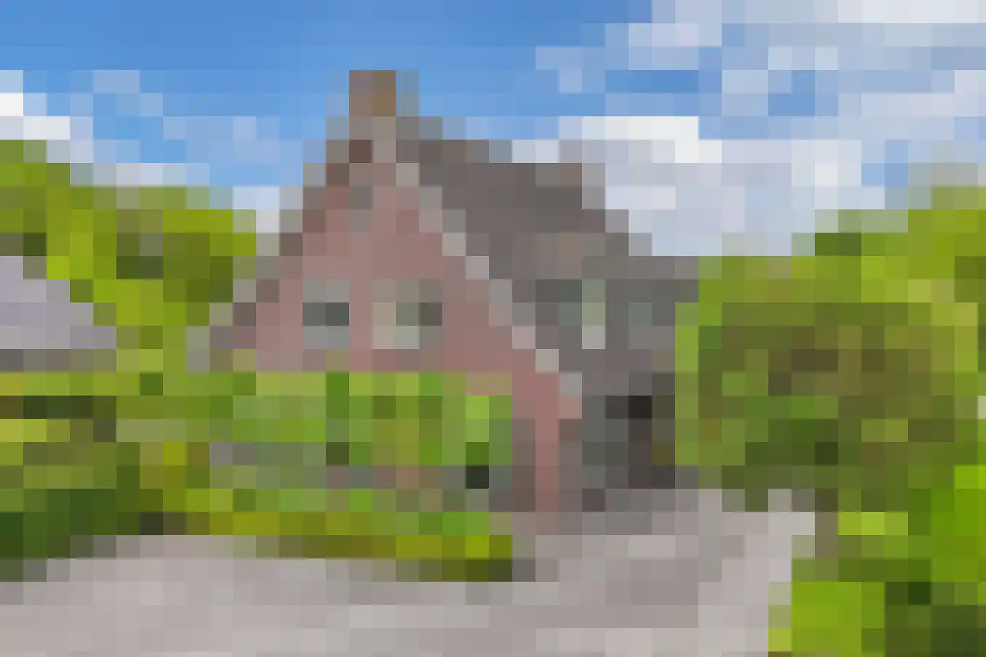 Flaeijel 3 Nieuwehorne thumbnail 51