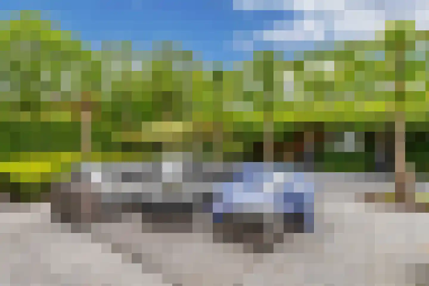 Flaeijel 3 Nieuwehorne thumbnail 52