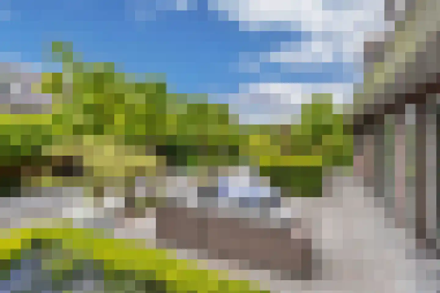 Flaeijel 3 Nieuwehorne thumbnail 53