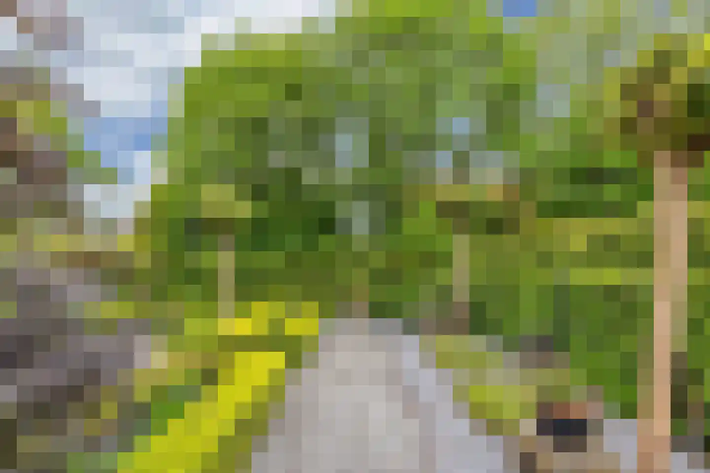 Flaeijel 3 Nieuwehorne thumbnail 54