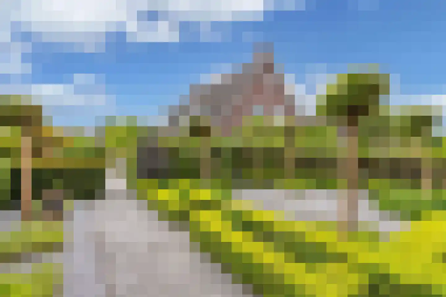 Flaeijel 3 Nieuwehorne thumbnail 55