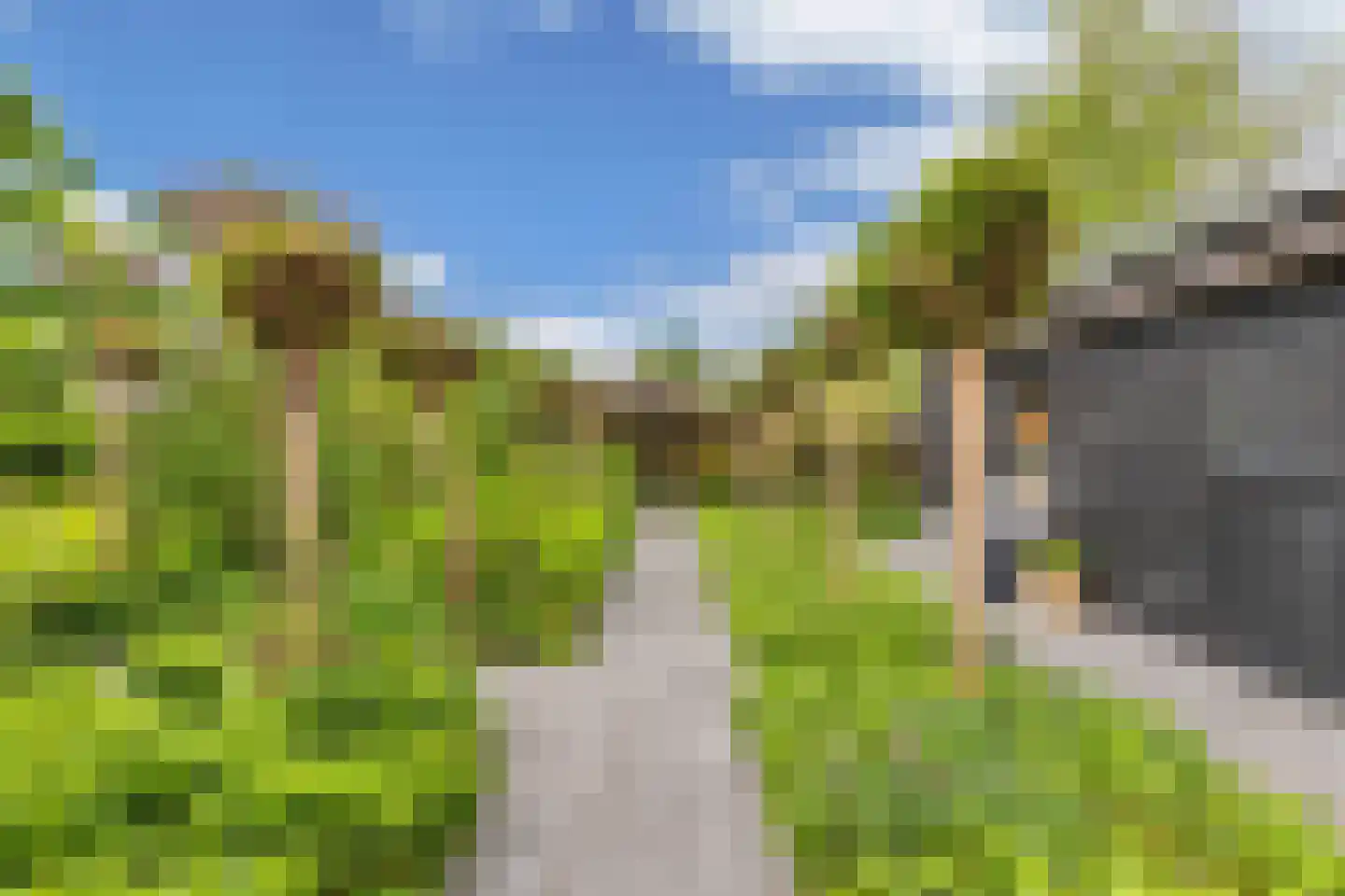Flaeijel 3 Nieuwehorne thumbnail 57