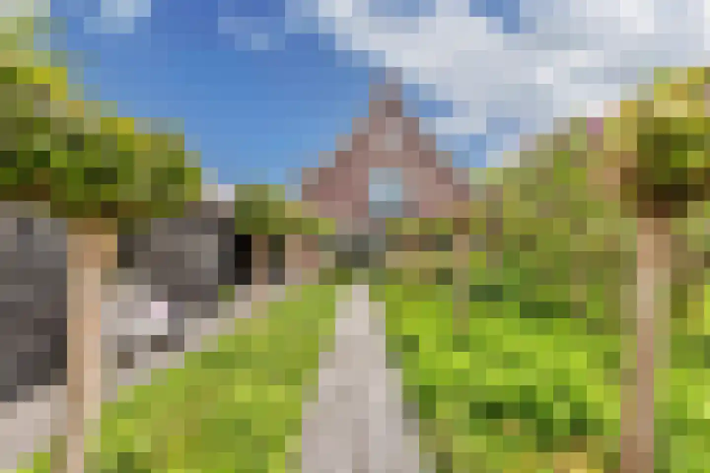 Flaeijel 3 Nieuwehorne thumbnail 58