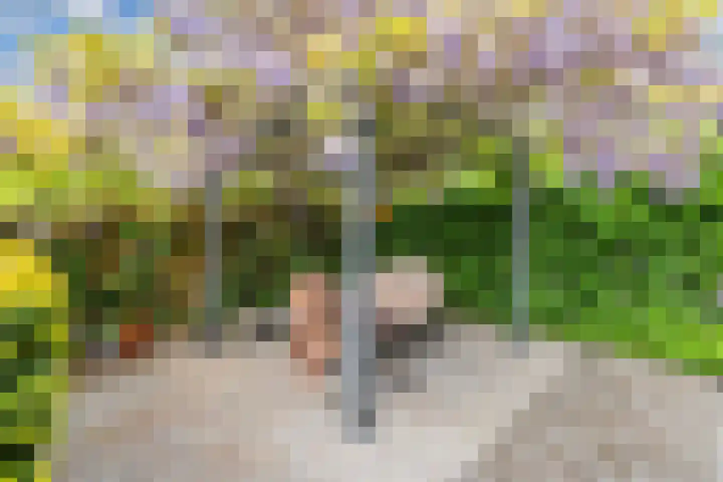 Flaeijel 3 Nieuwehorne thumbnail 59