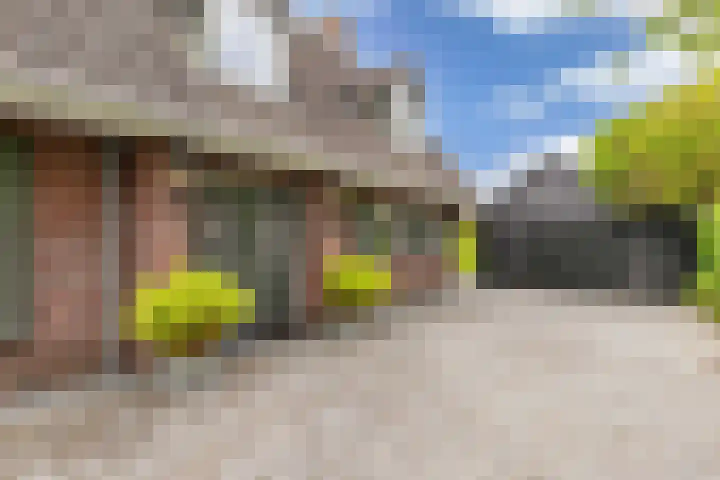 Flaeijel 3 Nieuwehorne thumbnail 6
