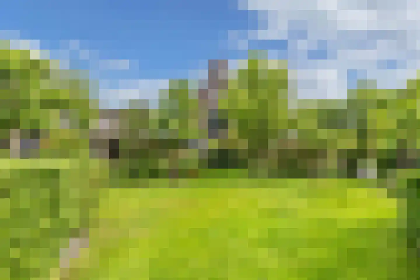 Flaeijel 3 Nieuwehorne thumbnail 60