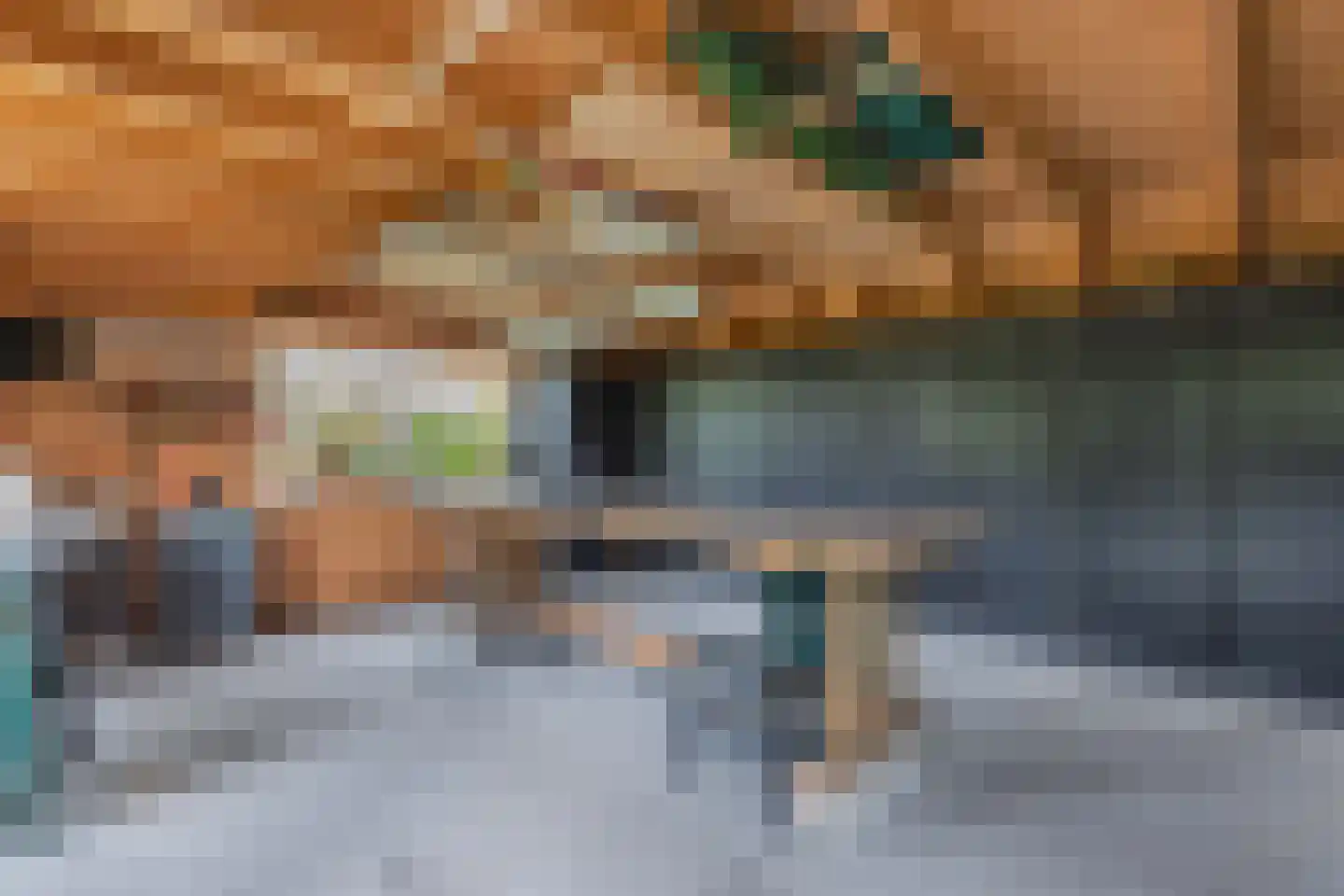Flaeijel 3 Nieuwehorne thumbnail 62
