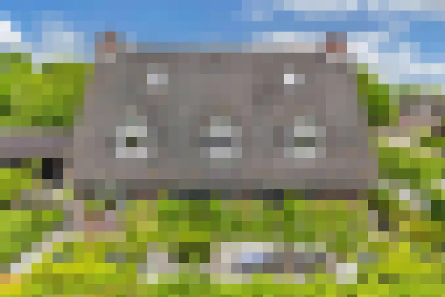 Flaeijel 3 Nieuwehorne thumbnail 63
