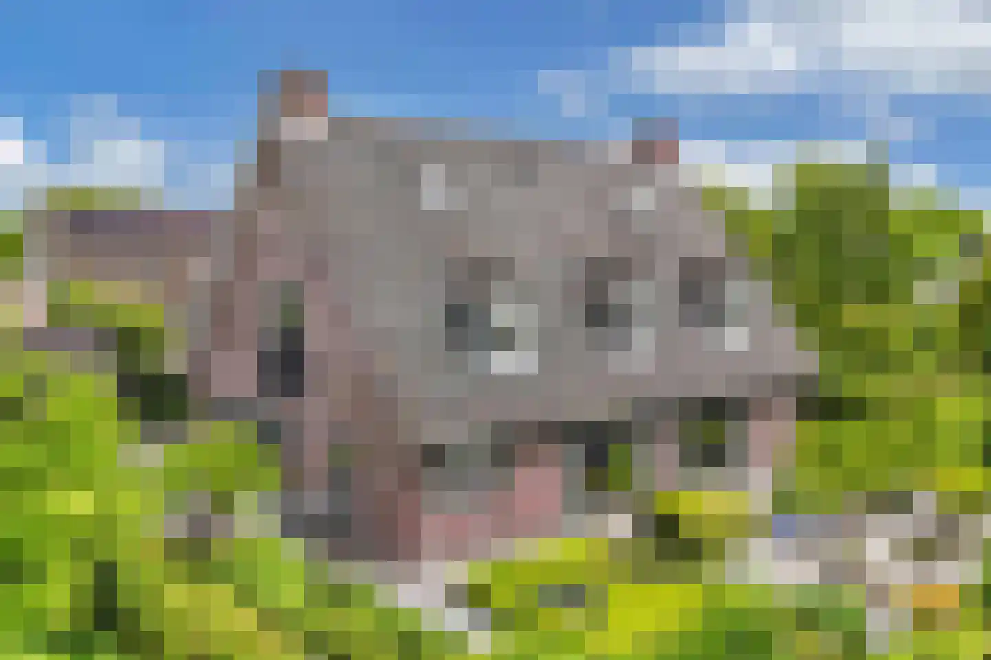 Flaeijel 3 Nieuwehorne thumbnail 65