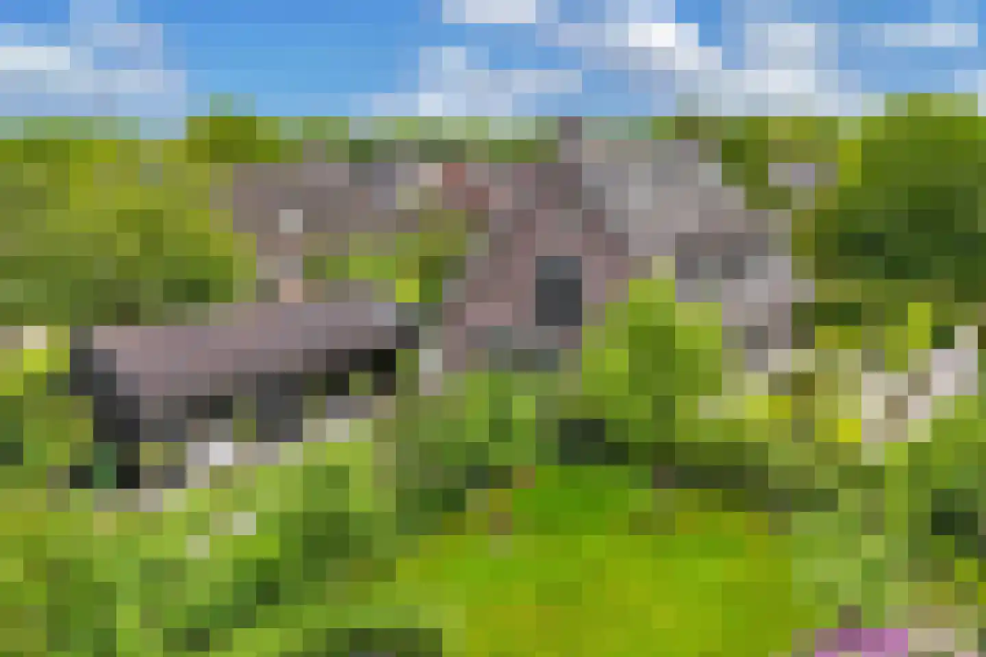 Flaeijel 3 Nieuwehorne thumbnail 66